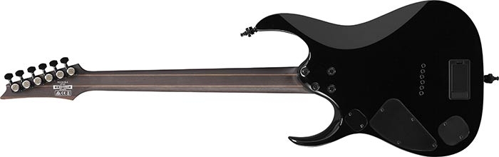 Ibanez RGD61ALA Midnight Tropical Rainforest Axion Label