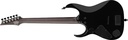 Ibanez RGD61ALA Midnight Tropical Rainforest Axion Label