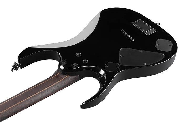 Ibanez RGD61ALA Midnight Tropical Rainforest Axion Label