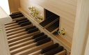 Johannus Ecclesia T355+