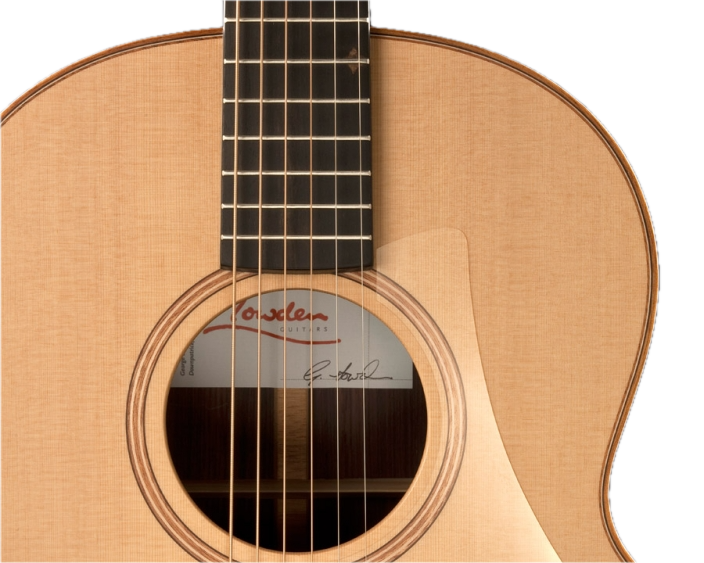 Lowden F-25 East Indian Rosewood / Red Cedar
