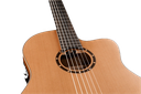 Ortega RCE 131