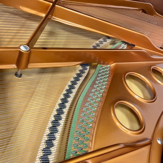 Bösendorfer 200 - Occasion