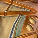 Bösendorfer 200 - Occasion