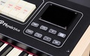 Viscount Cantorum Duo Plus