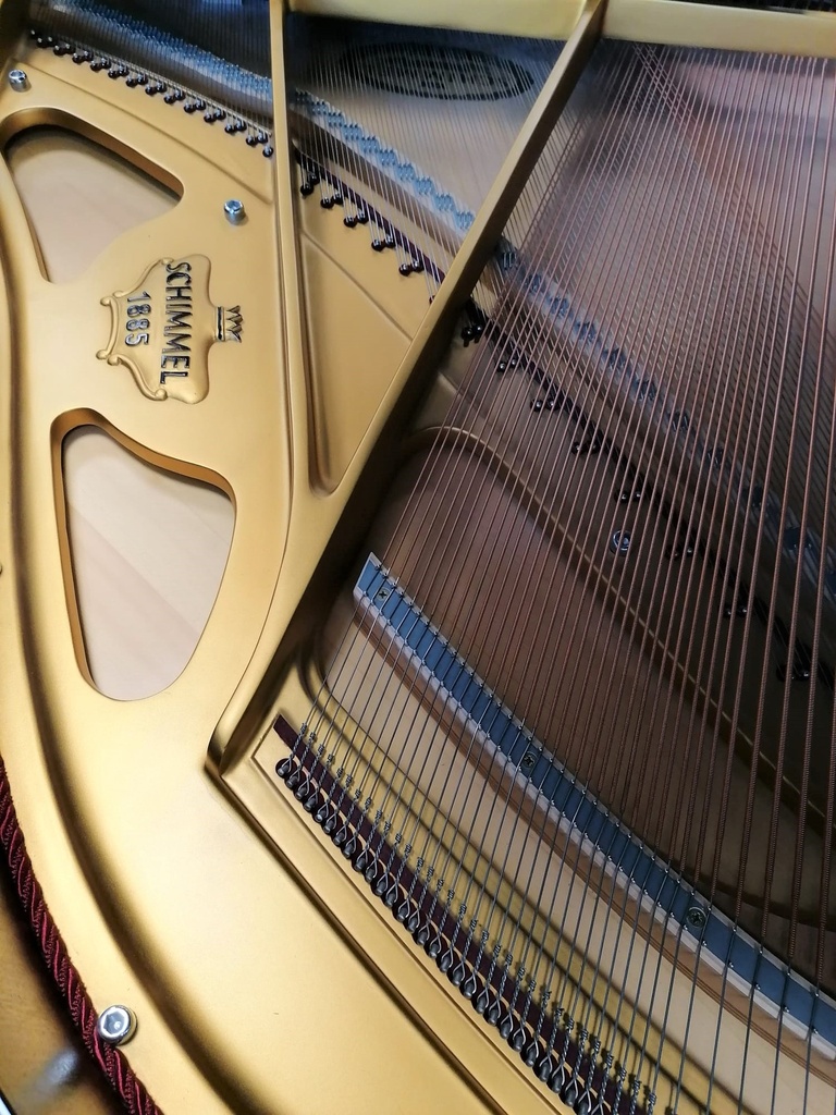 Schimmel 170 - Occasion