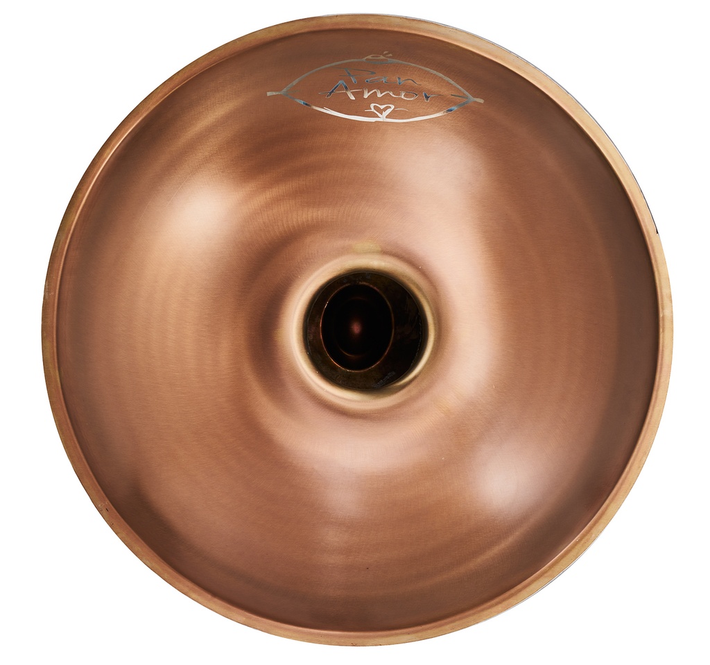 Handpan PanAmor C# Amara