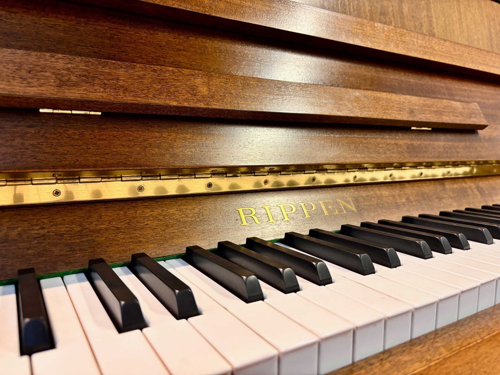 Rippen - Cantabile 107