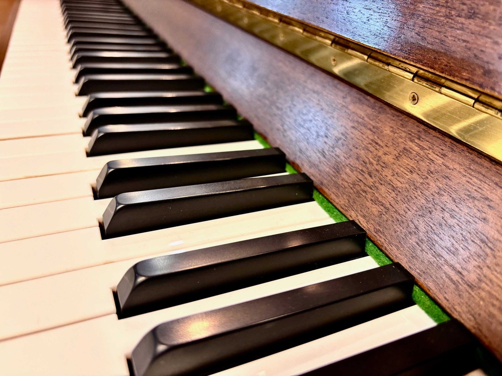 Rippen - Cantabile 107