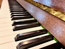 Rippen - Cantabile 107