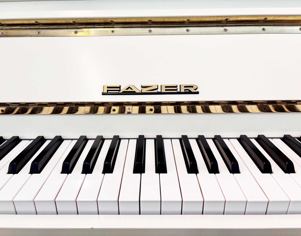 Fazer 109 - Occasion