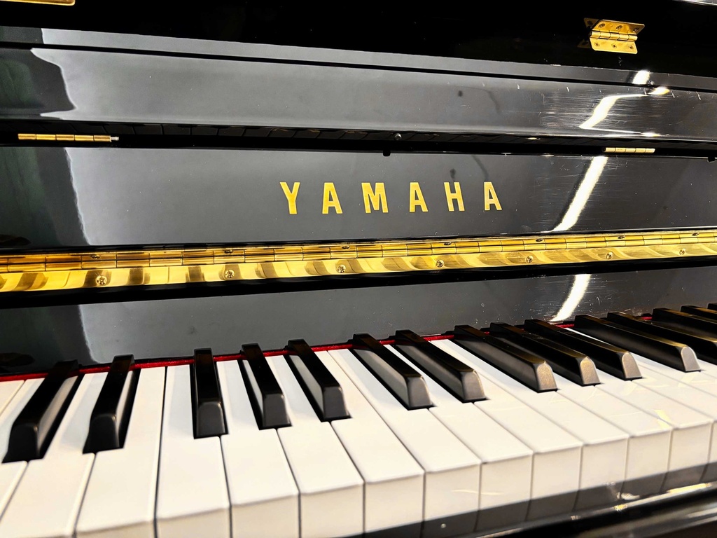 Yamaha M110 - Occasion