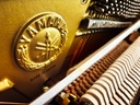 Yamaha M110 - Occasion