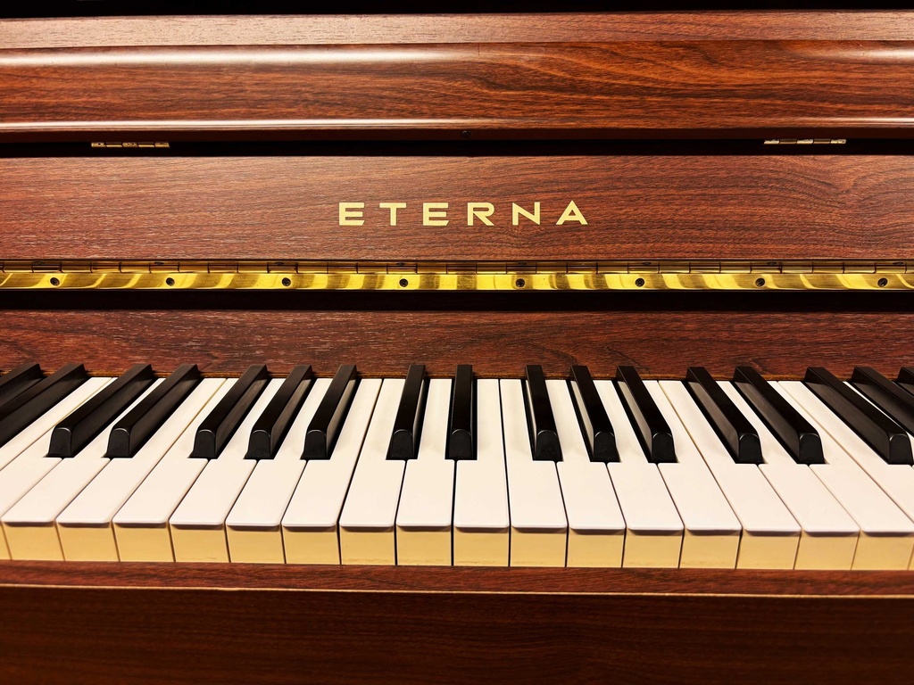 Eterna ER10 – Occasion