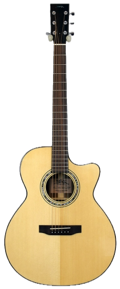 BSG J12CF Guitars