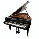Bösendorfer 200 - Used