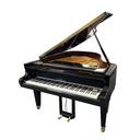 Schimmel 170 - Occasion (copie)