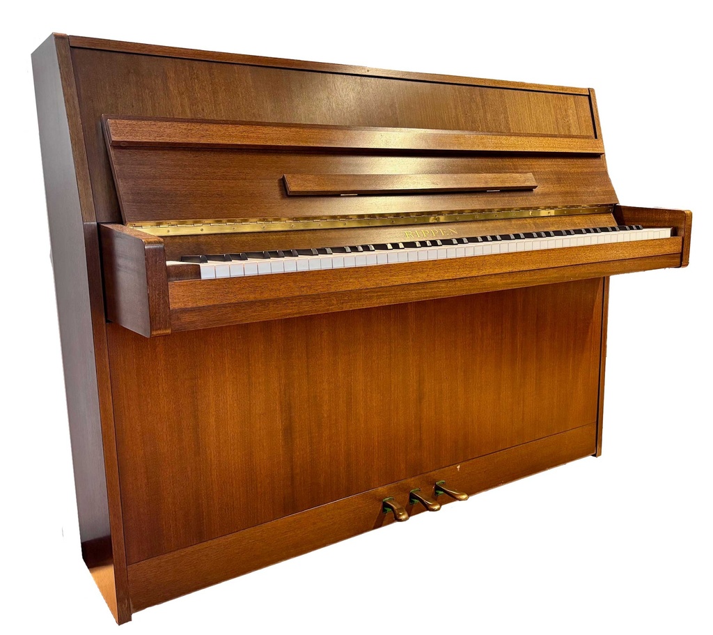 Rippen - Cantabile 107 - Occasion