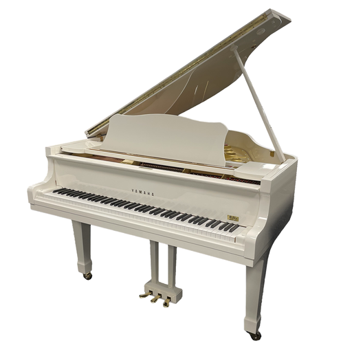 Yamaha G1 - Used