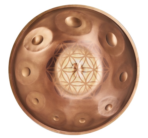 Handpan PanAmor C# Amara (copie)